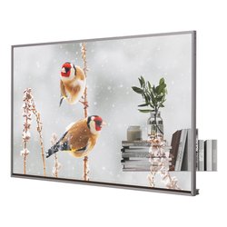 Display professionale 55 Full HD 1080p Transparent OLED Signage 55EW5P M AEU