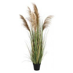 Pianta artificiale Austorderia pampas c-vaso h170 0173021